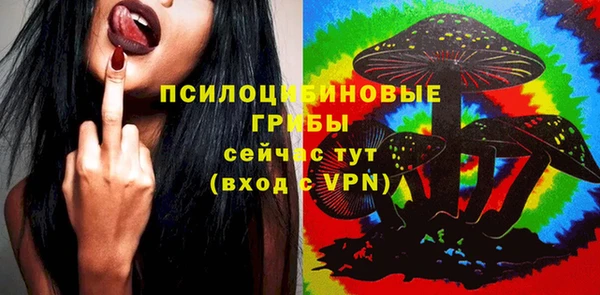 герыч Дмитровск