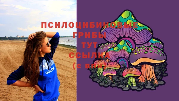 мдпв Ессентукская