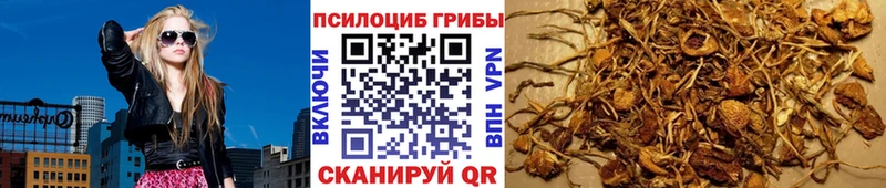 Псилоцибиновые грибы Psilocybe  Купить закладки  Ирбит 